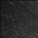 Muntazer al-Zaidi Iraq Gets Three Years in Jail for Throwing Shoes at George Bush