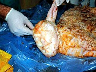 Sheep in Turkey Gives Birth to Lamb with Human Face Sheep in Turkey Gives Birth to Lamb with Human Face