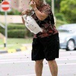 The Oh Shit Moment Photo of Bees Attacking a Woman in a Street